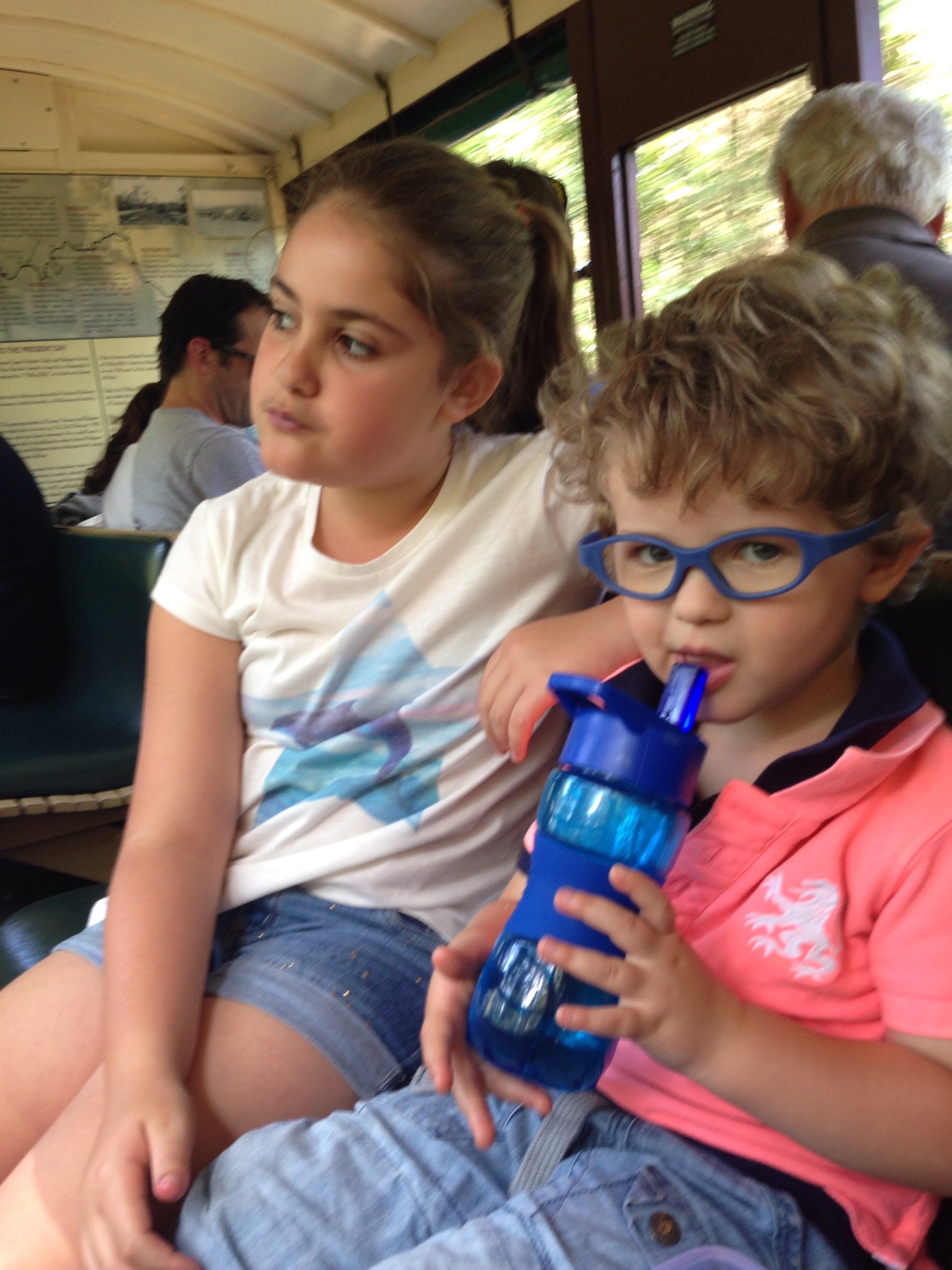 november 2014 Puffing Billy Train